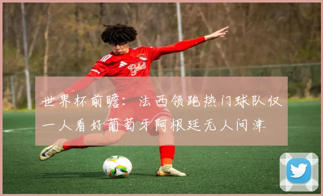 世界杯前瞻：法西领跑热门球队仅一人看好葡萄牙阿根廷无人问津