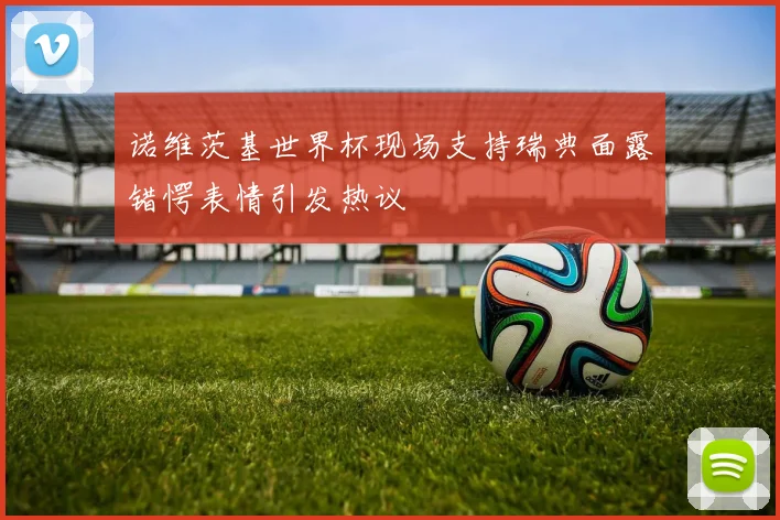 诺维茨基世界杯现场支持瑞典面露错愕表情引发热议